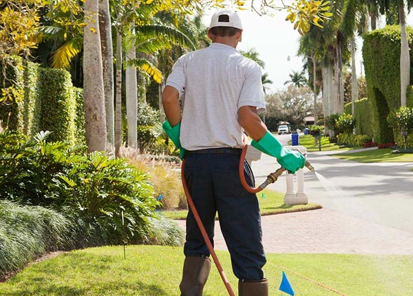 About Siluria AL Pest Control Pros